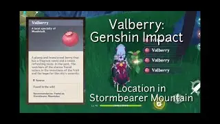 Valberry:  Genshin Impact