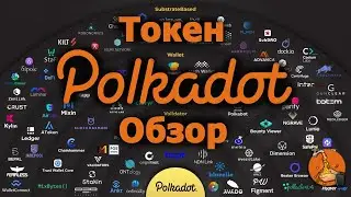 Что такое Polkadot / Обзор токена DOT