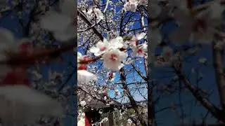 Чудесный майский день.  С Первомаем!!!!