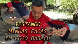 TESTANDO MINHAS FACAS EM COCO BABAÇU