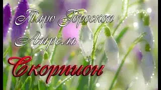 Таро-гороскоп для Скорпионов на апрель