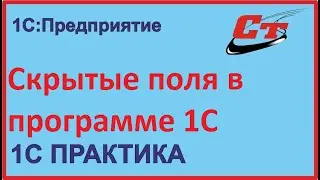 Скрытые поля в программе 1С. Зачем они нужны?