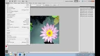 3crear cortar sectores