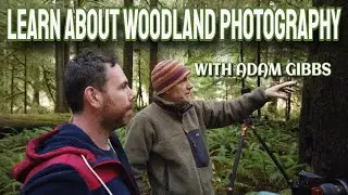 I learn forest photography/ With Adam Gibbs