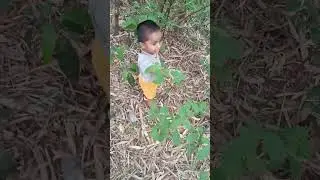 dibya kemiti amba khojiba pain jauchi