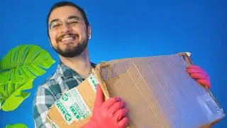 Ho comprato un pacco di Fondi di Magazzino