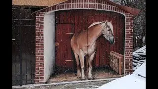#видеоотзыв роспись гаража в американском стиле