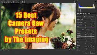 15 Best Camera Raw Presets by The Imaging