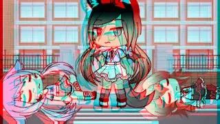 glmv 