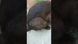#iyilikdokunușu