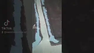 Untitled video