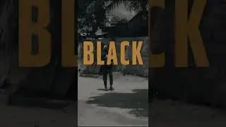 #YouTubeShorts - Lee "Scratch" Perry x Kabaka Pyramid x Bob Riddim - Black - music video preview