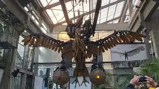 Soundtrack Heron & Elephant / Les Machines de l'Ile