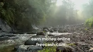 earn money online from freecash.com