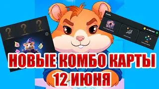 12 июня новое комбо Хамстер Комбат | 5000000 МОНЕТ НА БАЛАНС HAMSTER KOMBAT комбо карты 12.06