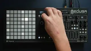Medusa Hybrid Synthesizer - The Grid modulators 2