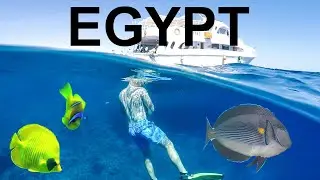 SCUBA Diving in Egypt | Red Sea