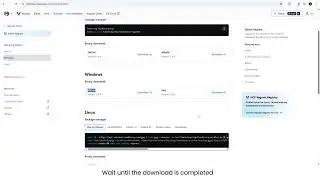 Installing Vagrant on Windows 11