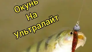 Окунь на ультралайт . Рыбалка Дзержинск . Рыбалка на окуня . Тактика ловли рыбы . Карп Беларусь .
