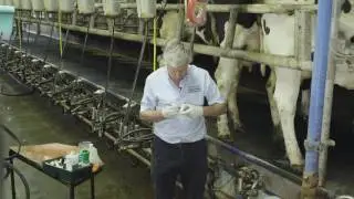 How to Take An Aseptic Milk  Sample and Carry Out The California Milk Test