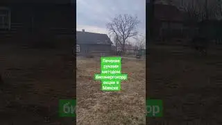 Биоэнергет