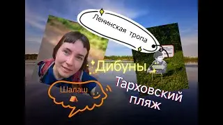 Соло прогулка от ст. Дибуны до ст. Тарховка. Ленинская тропа. Шалаш Ленина.