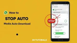 How to stop auto download on WhatsApp