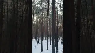 22 января 2022 г.