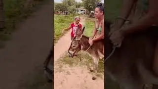 Doble diversión