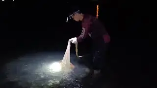 Two nights of fishing for mullet - new location, new fortune, big fish