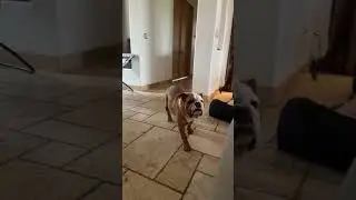 He’s so proud of himself from surviving the bath