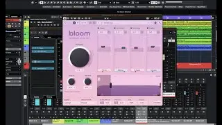 Oeksound - Bloom - Is It Worth The Cost?