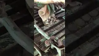 Ниссан ноут не работают щётки