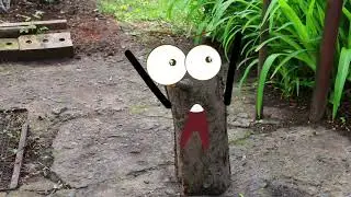 Аn unexpected turn of events for the stump - funny video