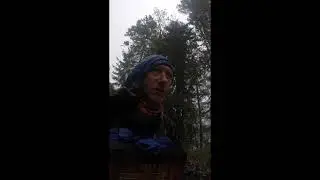 В пути под дождём