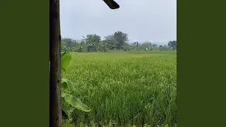 Kerja sampingan