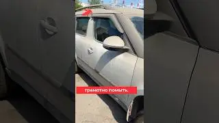Как грамотно отмыть машину, которая долго стояла? #мойкаавто