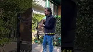 História Vale do Silício Garagem HP 🔥