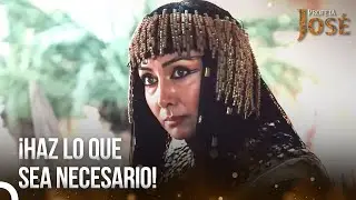 Züleica Vomitó Odio Contra Todos | José El Profeta