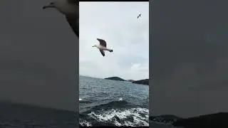 Antalya | Turkey | Amazing Sea View | Heavy Waves #viral #shortsvideo #trending @zarmeendua324 #sea