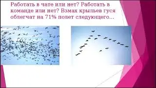 командообразование