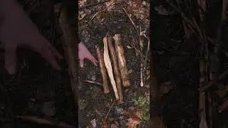 How to make a fire in the rain 🌧 🔥