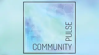 ICAT Playdate — Data Visualization with Community Pulse