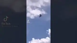 конь летит 