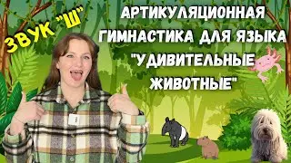 Артикуляционная гимнастика для языка для звука 