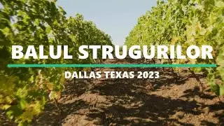 GRAPES FESTIVAL 2023 DALLAS TEXAS