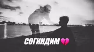 Согина согина