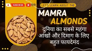 KING OF THE ALMOND,MAMRA BADAM #mamra #almond