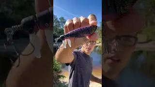 I have ONLY TWO CASTS