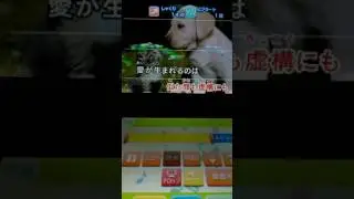 星野源　恋(逃げ恥主題歌)　歌ってみた